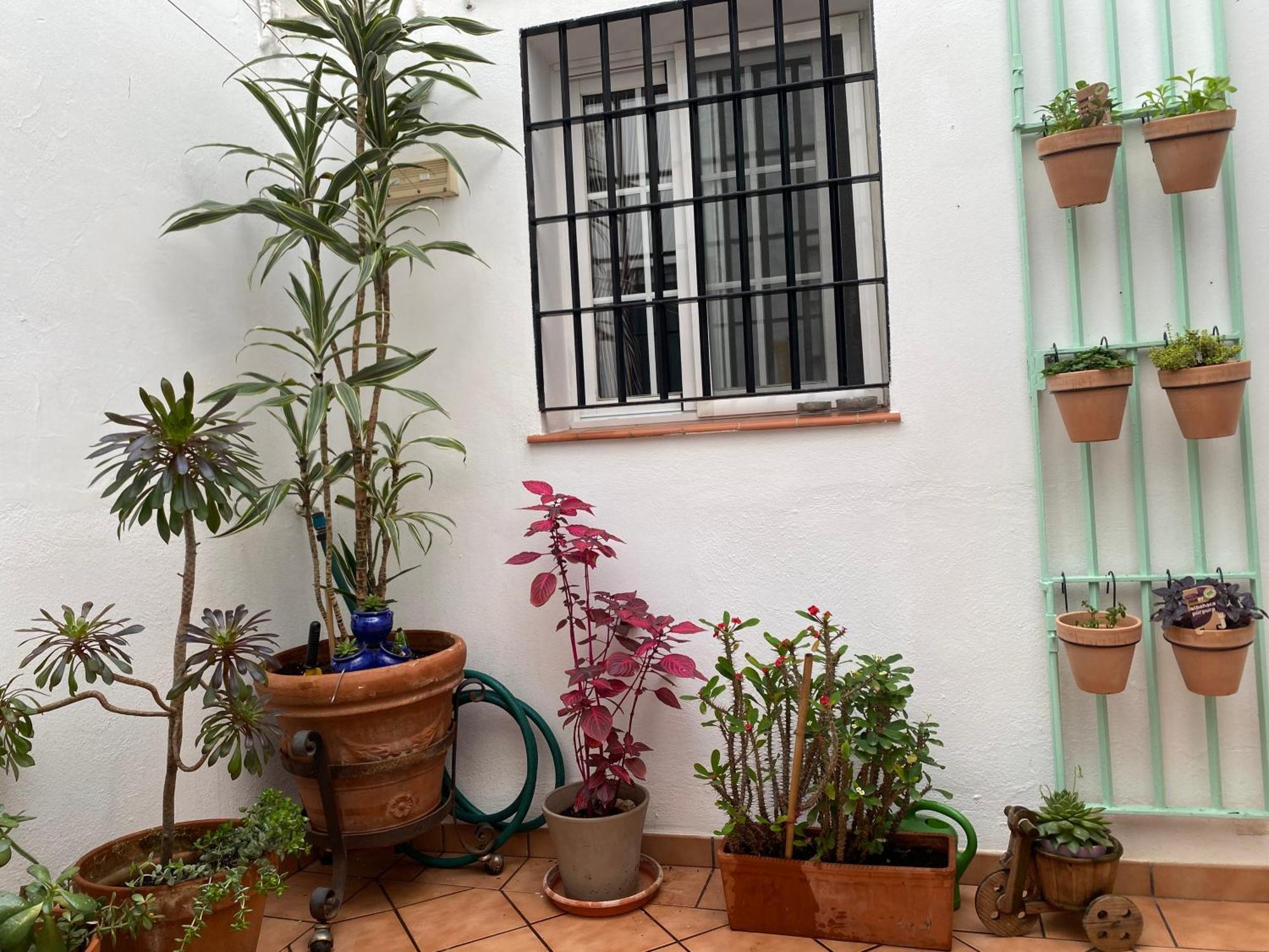 Enmitatiko Alcazar Viejo Apartment Córdoba Exterior foto